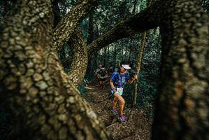 BIB: 
                            <button type="button" onclick="openModal(25670232)" class="btn btn-primary btn-sm float-right btn-popup" data-toggle="modal" data-target=".modal-high-quality">
                        <i class="fas fa-shopping-cart"></i> Add to Cart
                    </button>
                                            <button type="button" onclick="isThisMe(25670232, true)" class="btn btn-success btn-sm float-right btn-popup btn-isme hidden" data-toggle="tooltip" data-placement="bottom" title="นี่คือรูปของคุณใช่ไหม คลิกที่นี่เพื่อเอาเข้าอัลบั้ม">
                        <i class="fas fa-plus"></i> Add to album
                    </button>
                    <button type="button" onclick="isThisMe(25670232, false)" class="btn btn-warning btn-sm float-right btn-popup btn-isnotme hidden">
                        <i class="fas fa-ban"></i> Remove from album
                    </button>